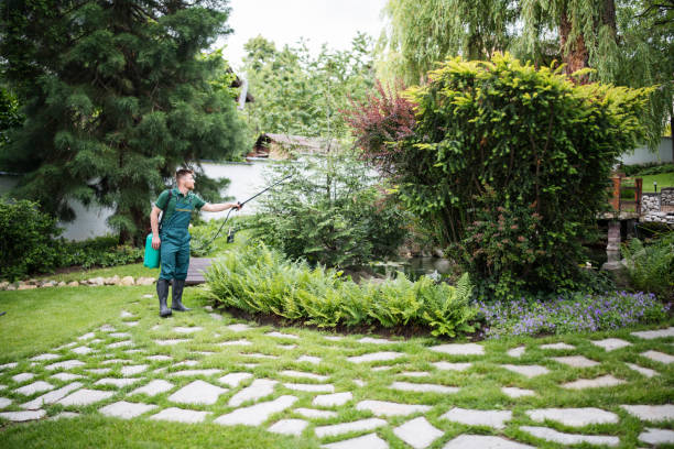 Best Cockroach Control Services  in Big Bear Lake, CA