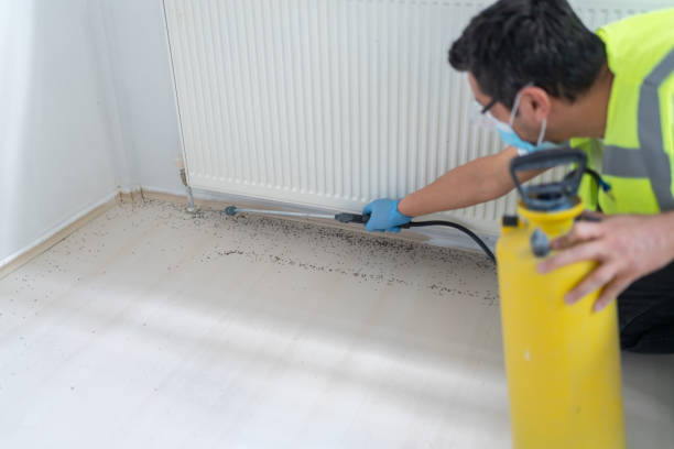 Best Residential Pest Control  in Big Bear Lake, CA